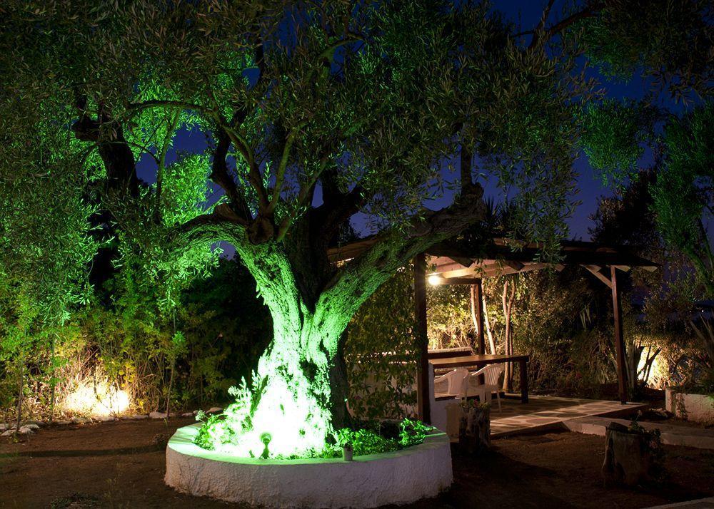 Trikeri Villas מראה חיצוני תמונה